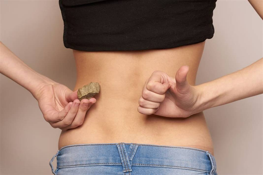 Havalar ısındı böbrek taşına dikkat! Uzman isim uyardı - Resim: 20